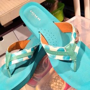 Coach platform slides